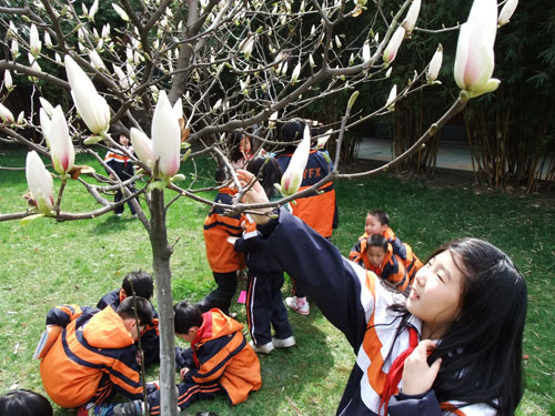 春花烂漫  笑颜如花